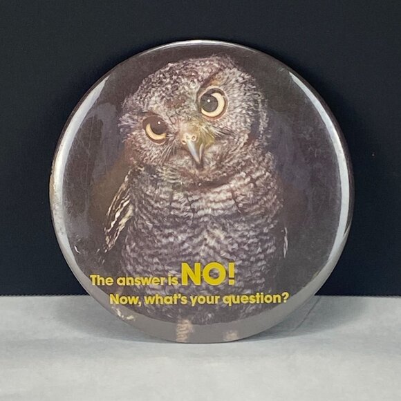 Vintage Springbok Hallmark 6 Inch Owl Pinback Button The Answer Is NO - Picture 1 of 7